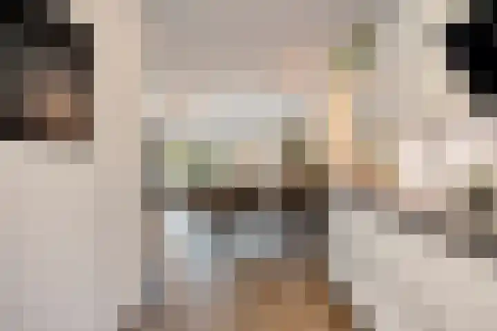Scharlakenbes 9 Leiden thumbnail 7