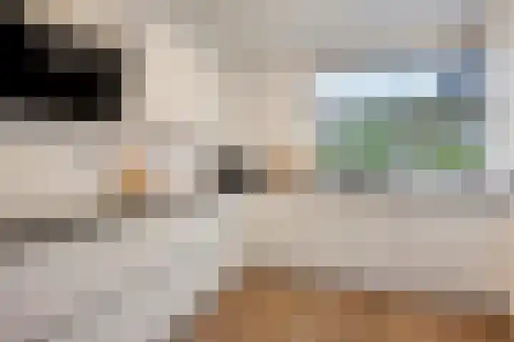 Scharlakenbes 9 Leiden thumbnail 8