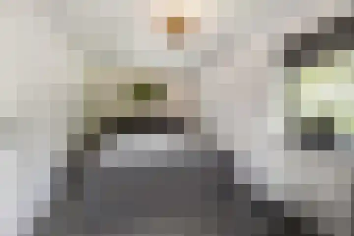 Scharlakenbos 21 Ede thumbnail 14