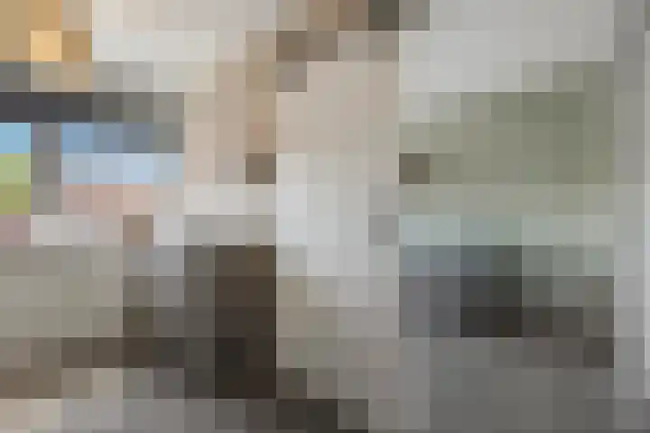 Scharlakenbos 21 Ede thumbnail 18