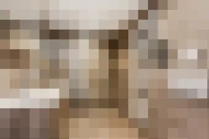 Scharlakenbos 21 Ede thumbnail 22