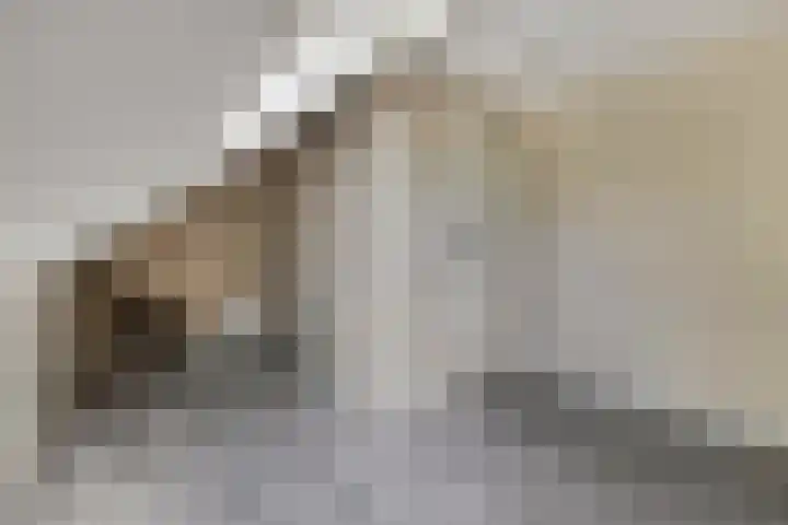 Scharlakenbos 21 Ede thumbnail 28