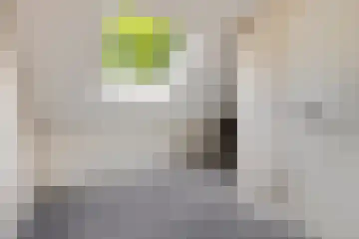 Scharlakenbos 21 Ede thumbnail 29