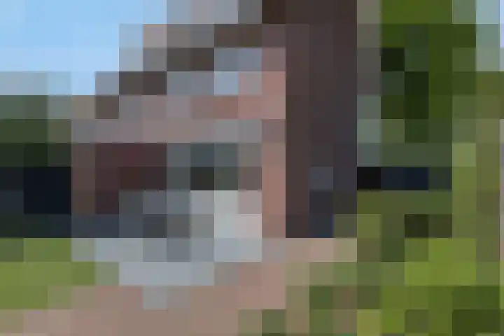 Scharlakenbos 21 Ede thumbnail 33