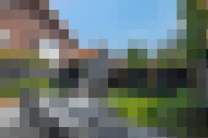 Scharlakenbos 21 Ede thumbnail 35