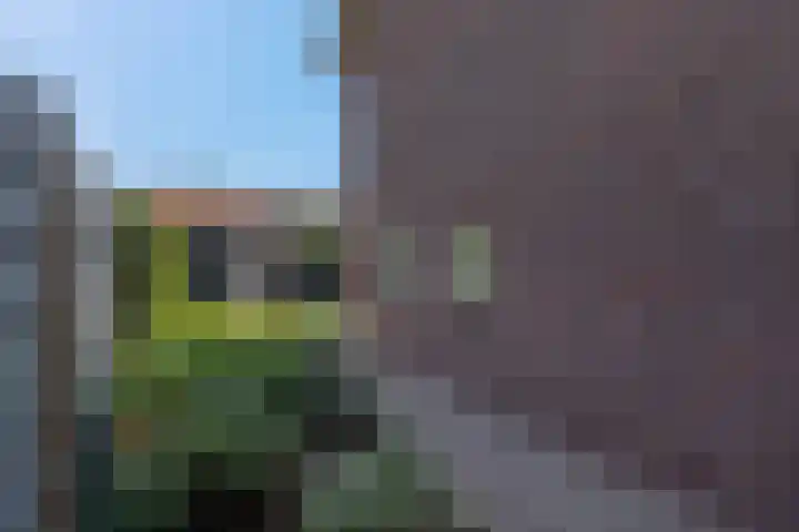 Scharlakenbos 21 Ede thumbnail 36