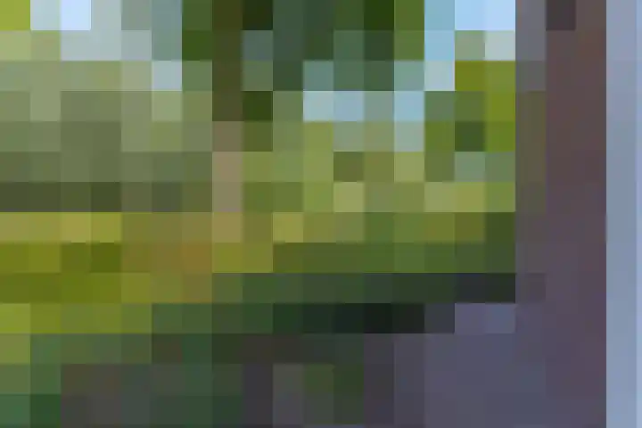 Scharlakenbos 21 Ede thumbnail 37