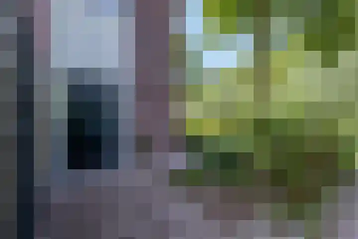 Scharlakenbos 21 Ede thumbnail 38