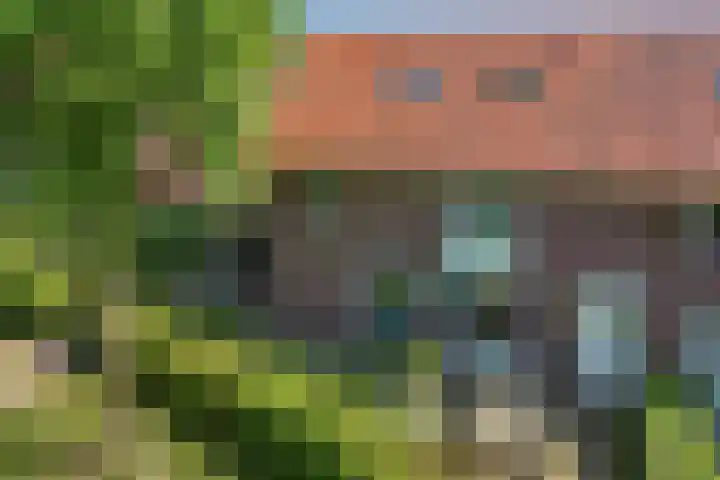Scharlakenbos 21 Ede thumbnail 39