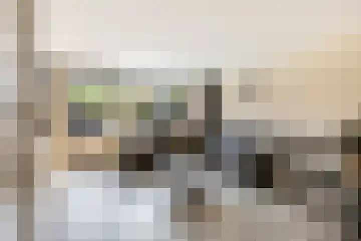 Scharlakenbos 21 Ede thumbnail 4