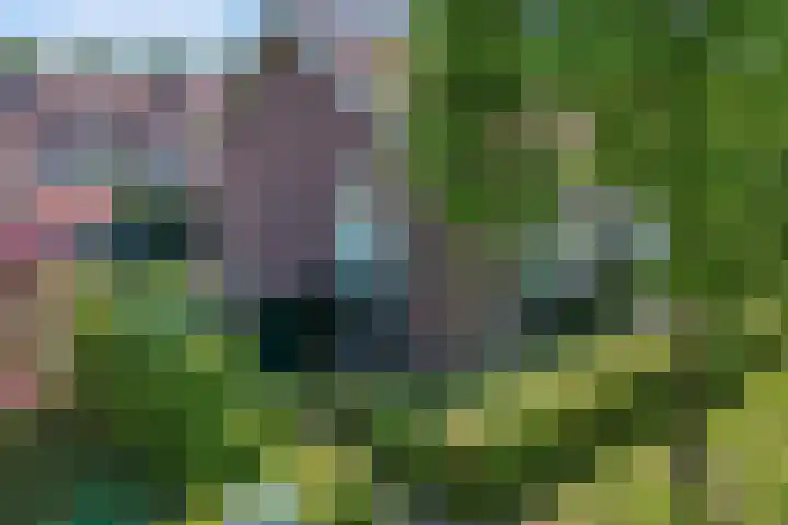 Scharlakenbos 21 Ede thumbnail 40