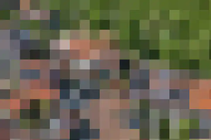 Scharlakenbos 21 Ede thumbnail 43