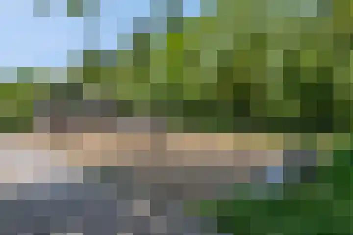 Scharlakenbos 21 Ede thumbnail 49