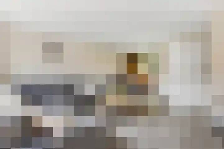 Scharlakenbos 21 Ede thumbnail 5