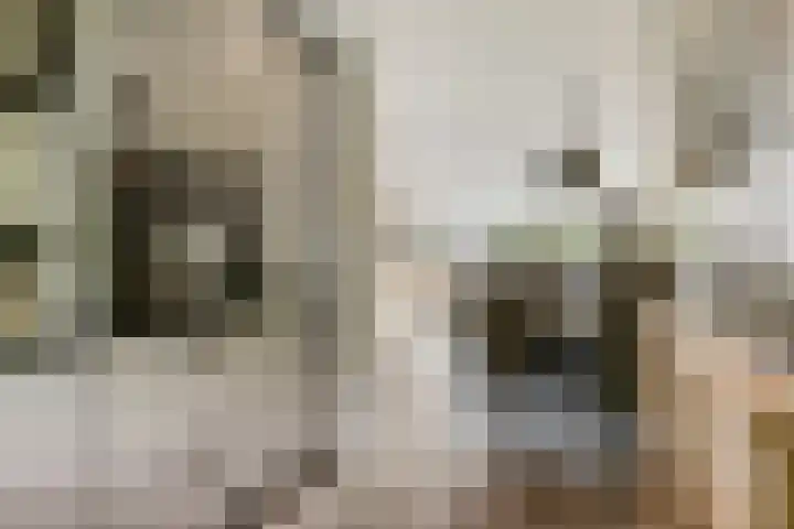 Scharlakenbos 21 Ede thumbnail 8
