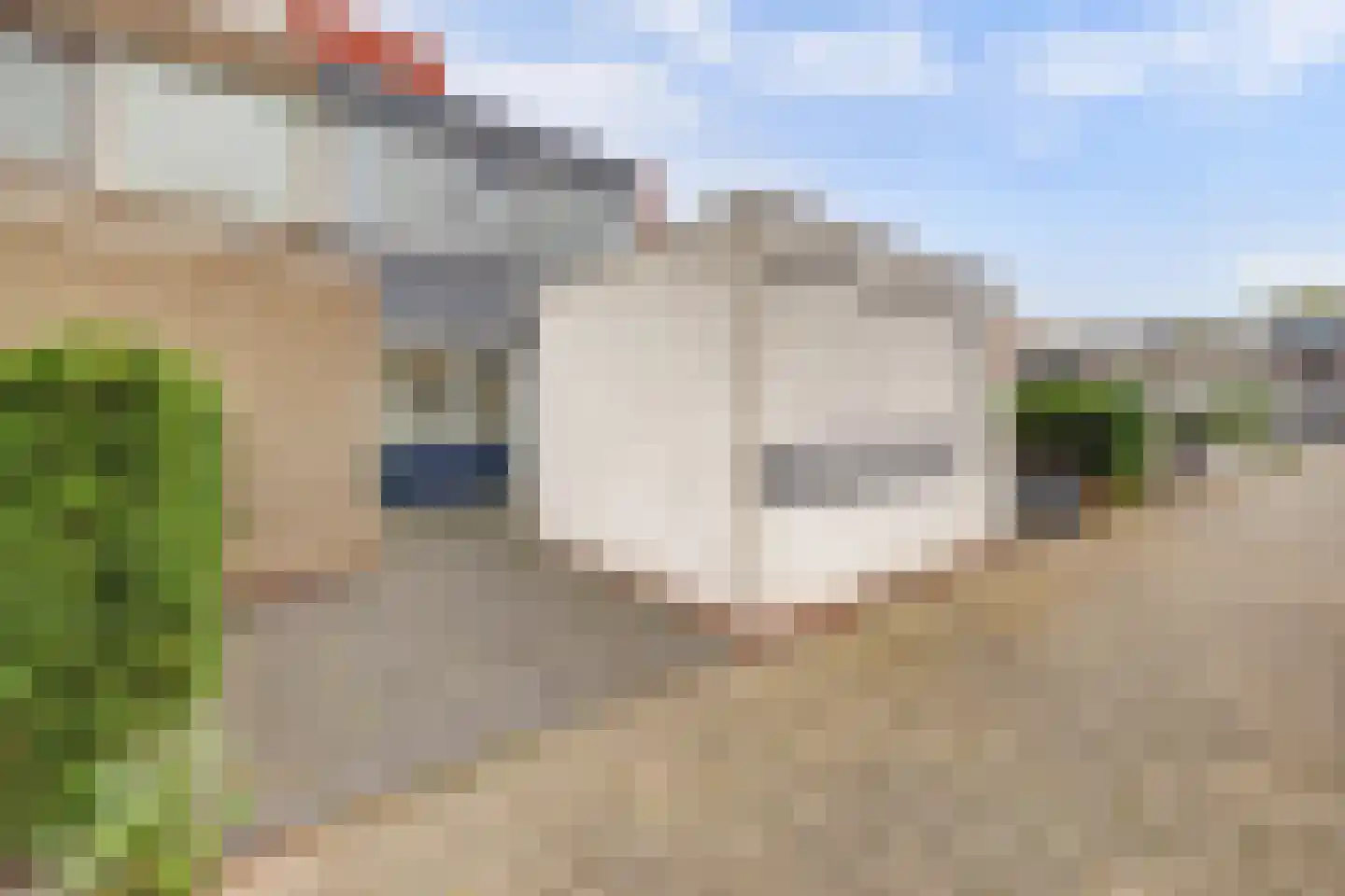 Scharlakendoorn 13 Rotterdam thumbnail 10