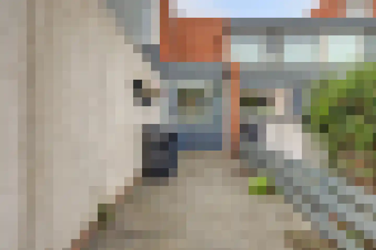 Scharlakendoorn 13 Rotterdam thumbnail 11