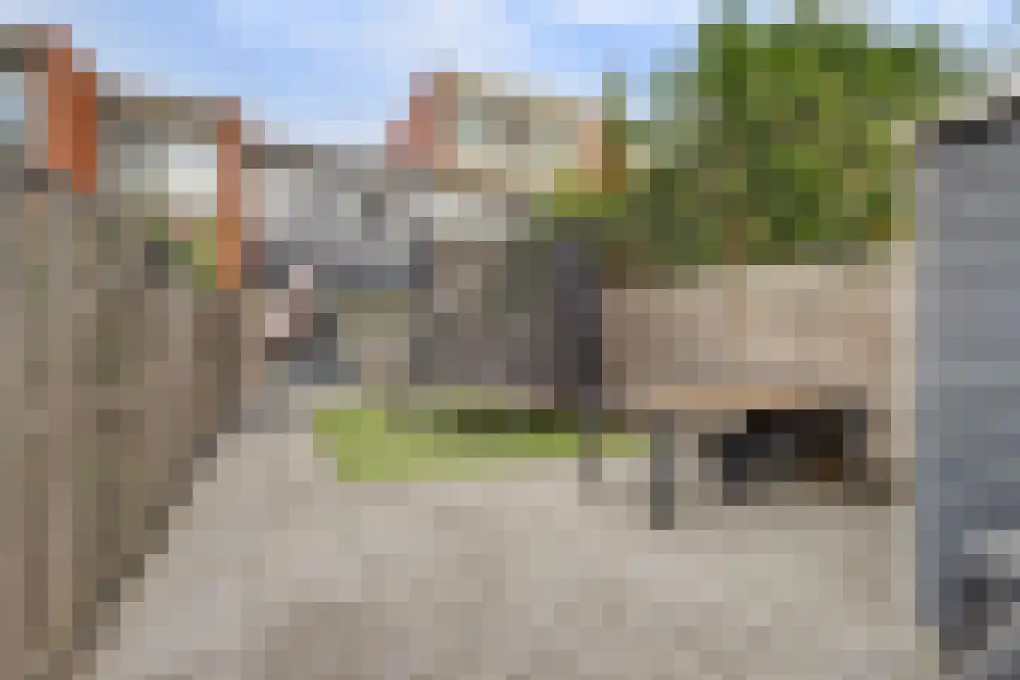 Scharlakendoorn 13 Rotterdam thumbnail 47