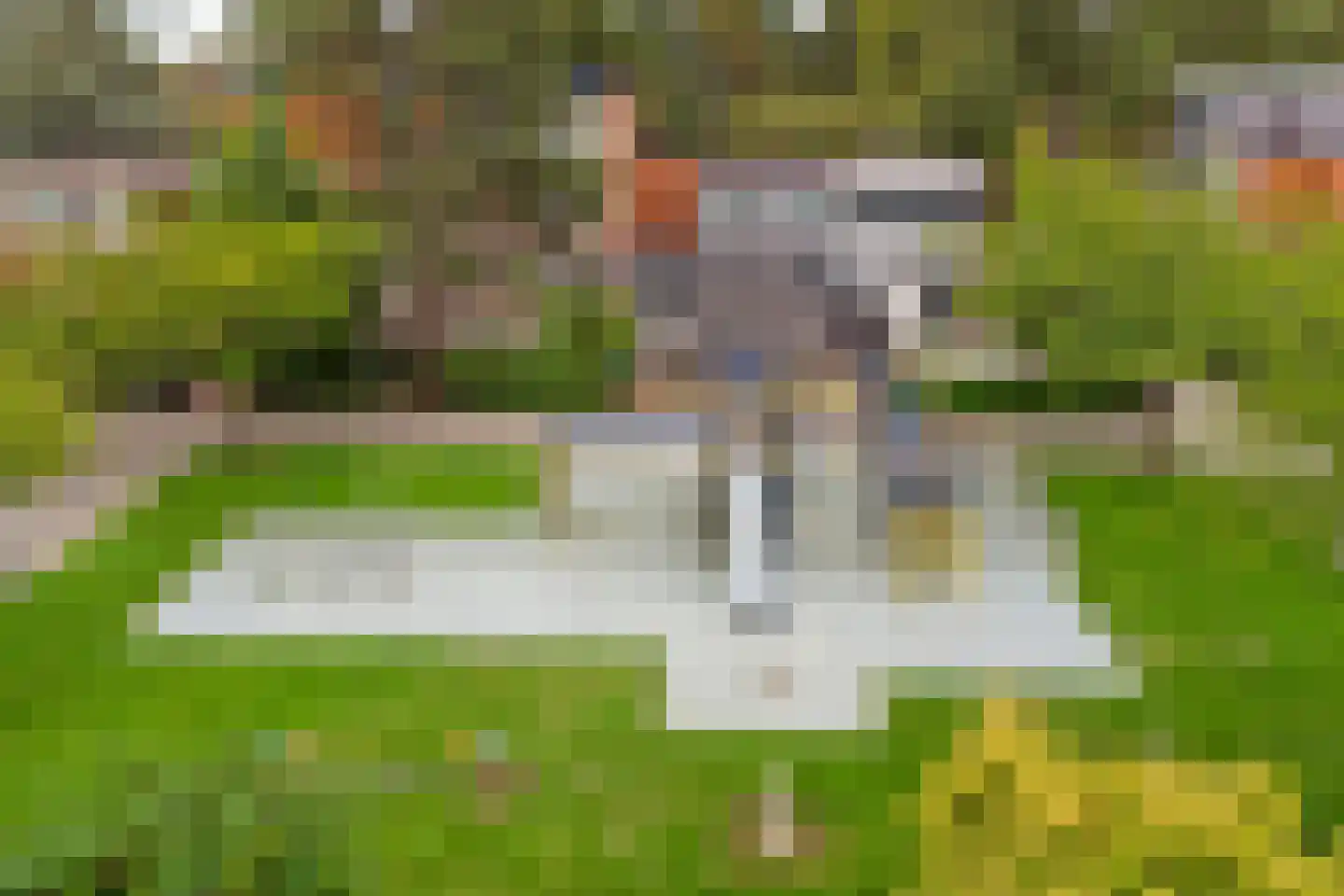 Scharlakendoorn 13 Rotterdam thumbnail 51