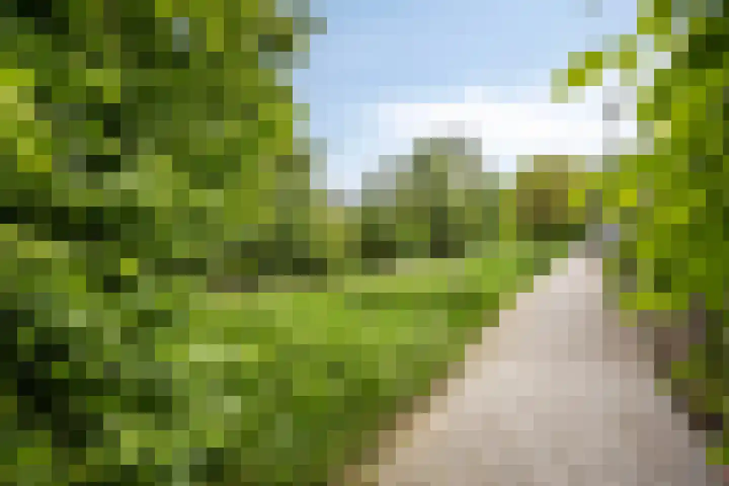 Scharlakendoorn 4 Rotterdam thumbnail 31