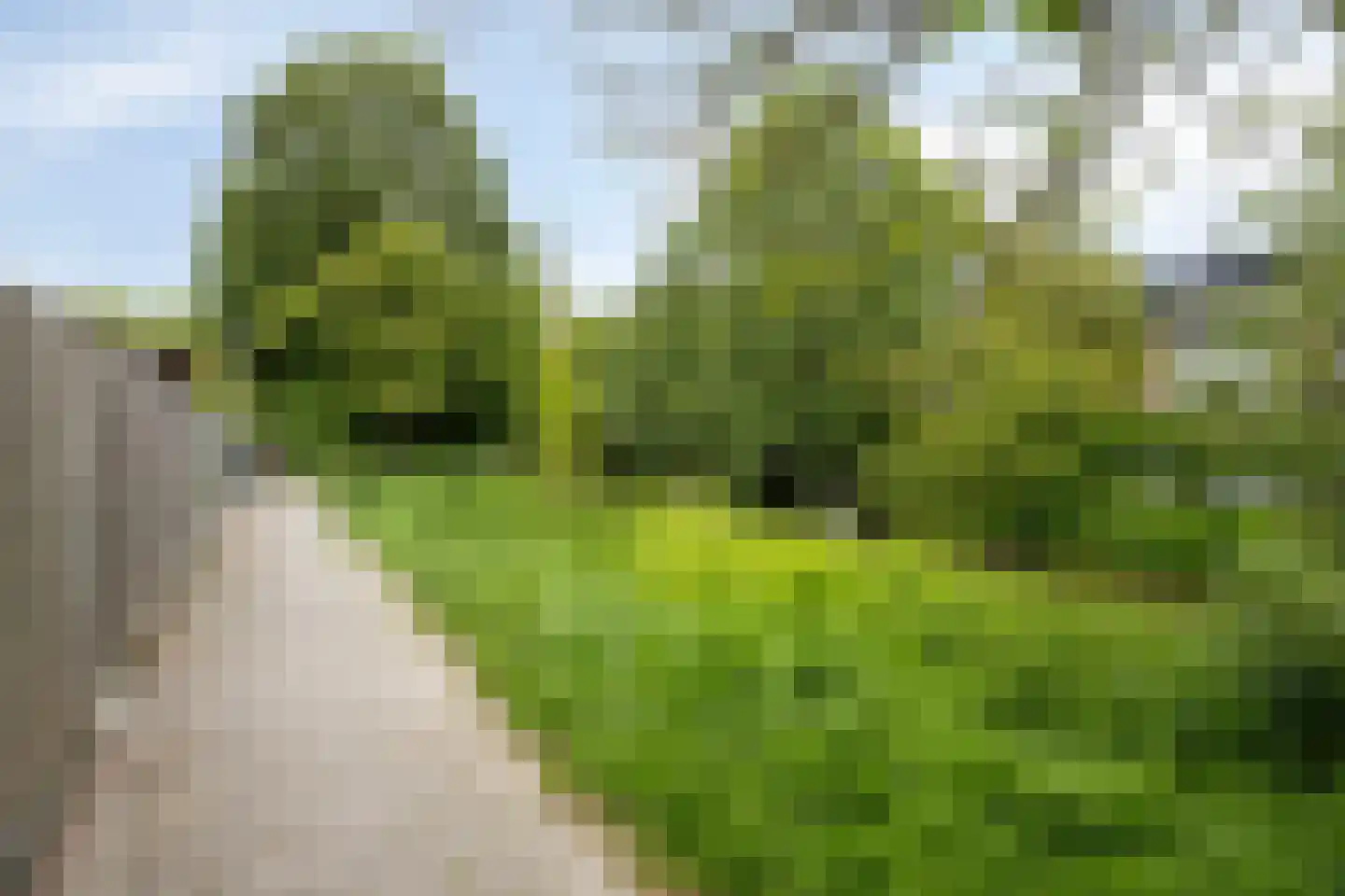 Scharlakendoorn 4 Rotterdam thumbnail 32
