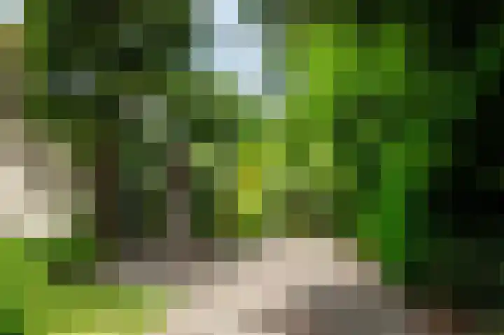 Scharlakenlaan 20 Haren Gn thumbnail 10