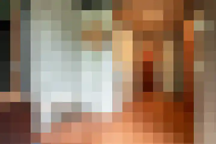 Scharlakenlaan 20 Haren Gn thumbnail 13