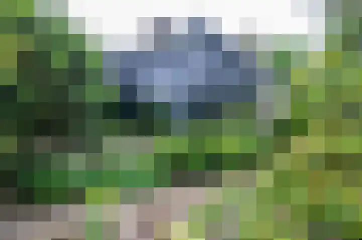 Scharlakenlaan 20 Haren Gn thumbnail 33