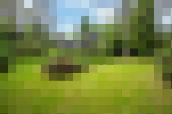 Scharlakenlaan 20 Haren Gn thumbnail 34