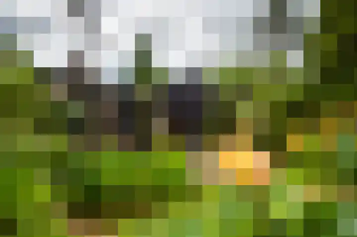 Scharlakenlaan 20 Haren Gn thumbnail 35