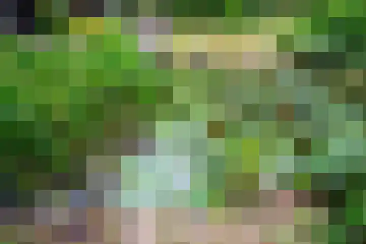 Scharlakenlaan 20 Haren Gn thumbnail 36