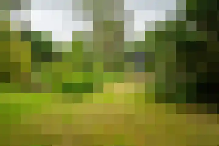 Scharlakenlaan 20 Haren Gn thumbnail 37