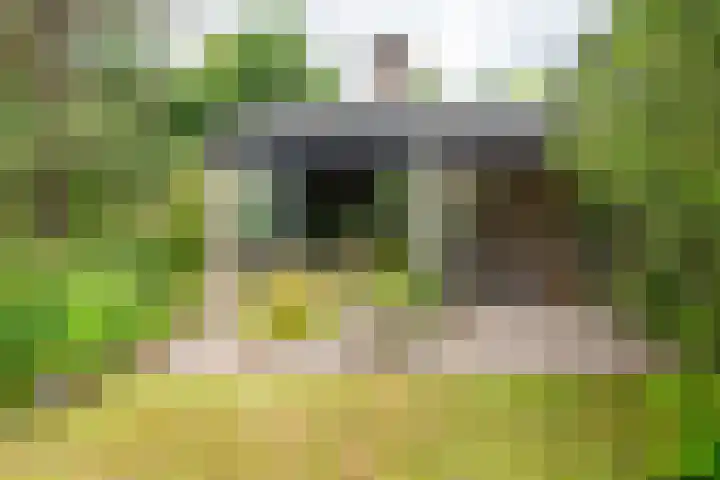 Scharlakenlaan 20 Haren Gn thumbnail 38