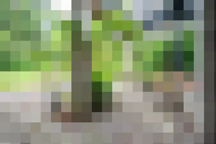 Scharlakenlaan 20 Haren Gn thumbnail 40