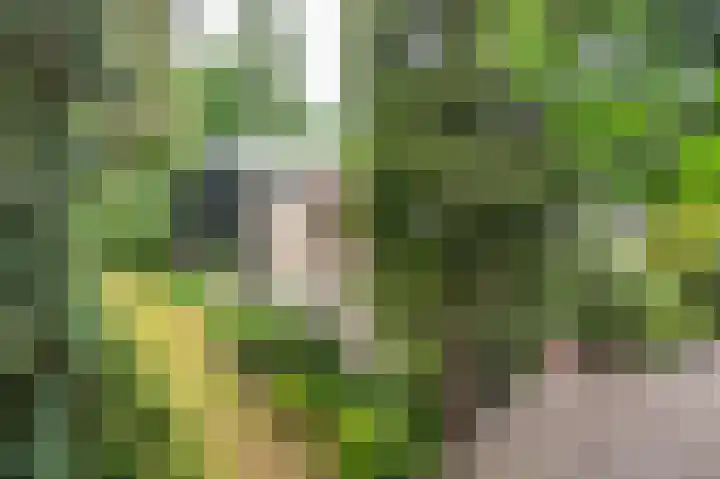 Scharlakenlaan 20 Haren Gn thumbnail 5