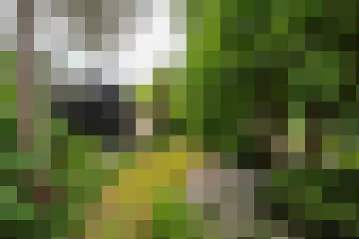 Scharlakenlaan 20 Haren Gn thumbnail 6