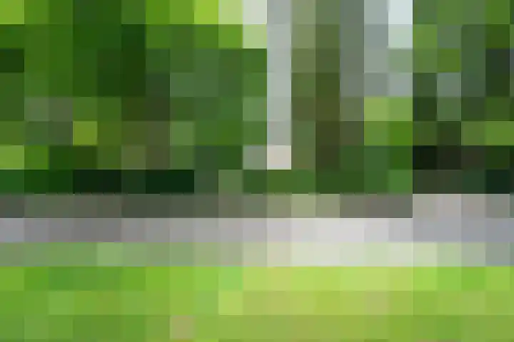 Scharlakenlaan 20 Haren Gn thumbnail 7