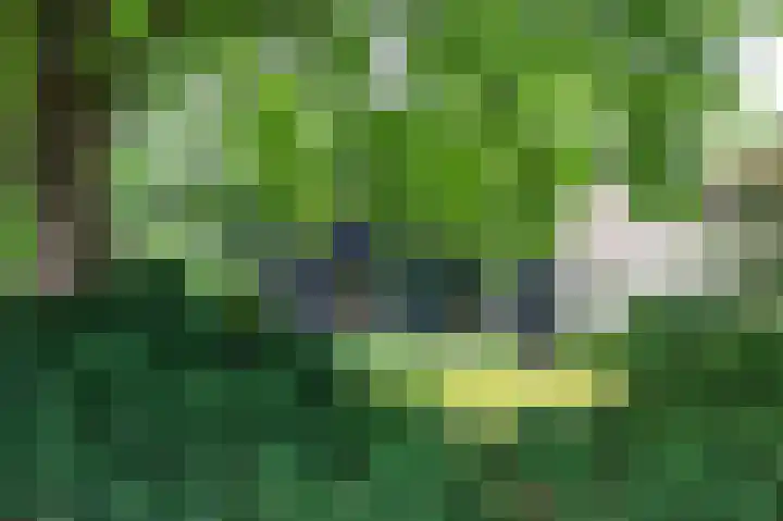 Scharlakenlaan 20 Haren Gn thumbnail 8