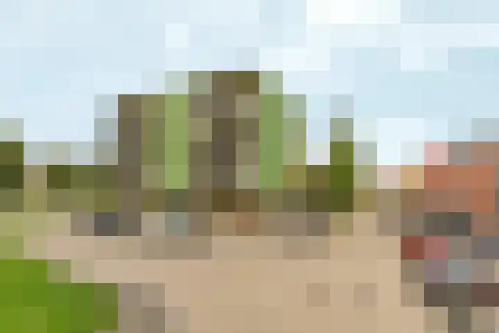 Scharlakenstraat 37 Almere thumbnail 7