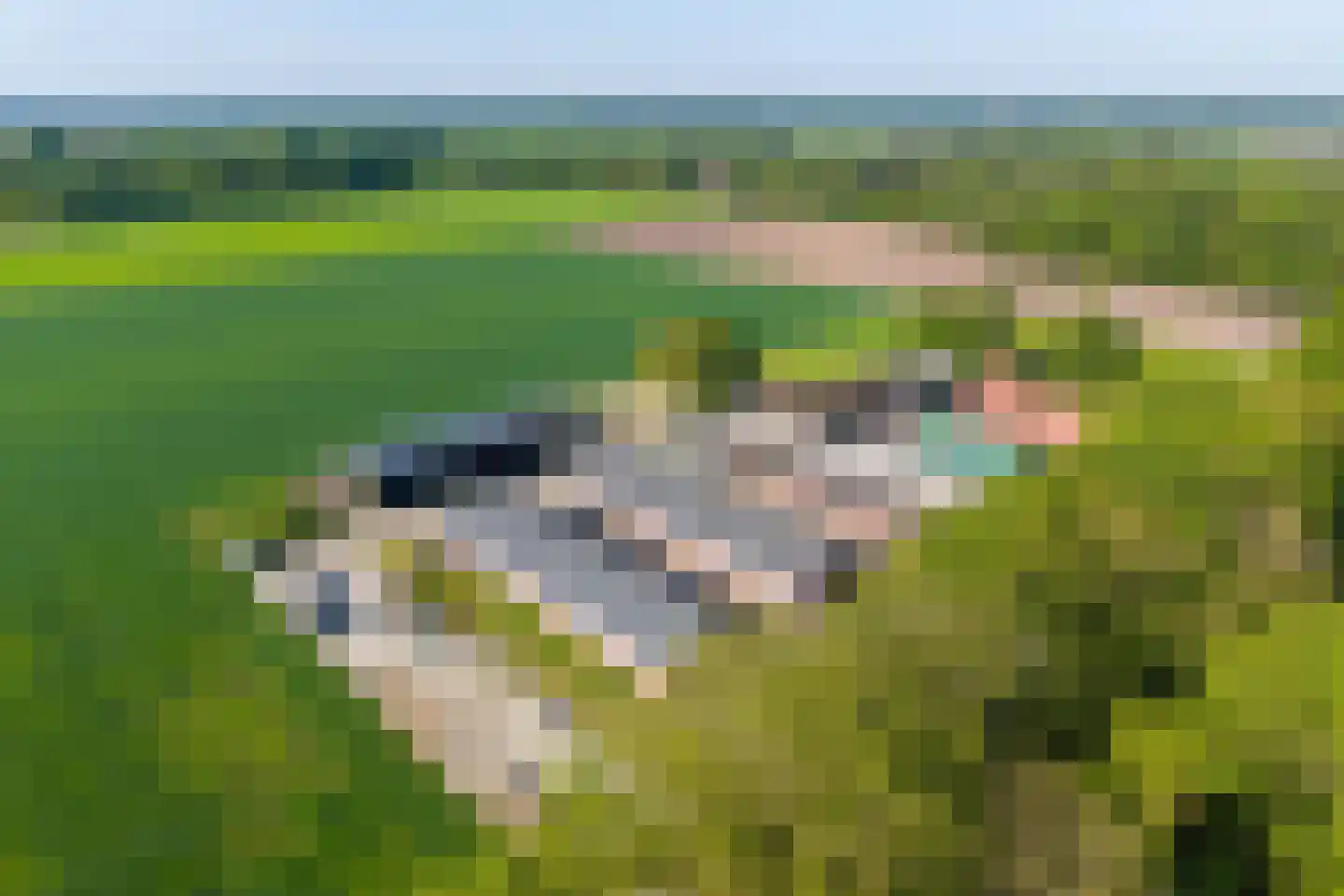 Scharlebeltweg 12 Nijverdal thumbnail 10
