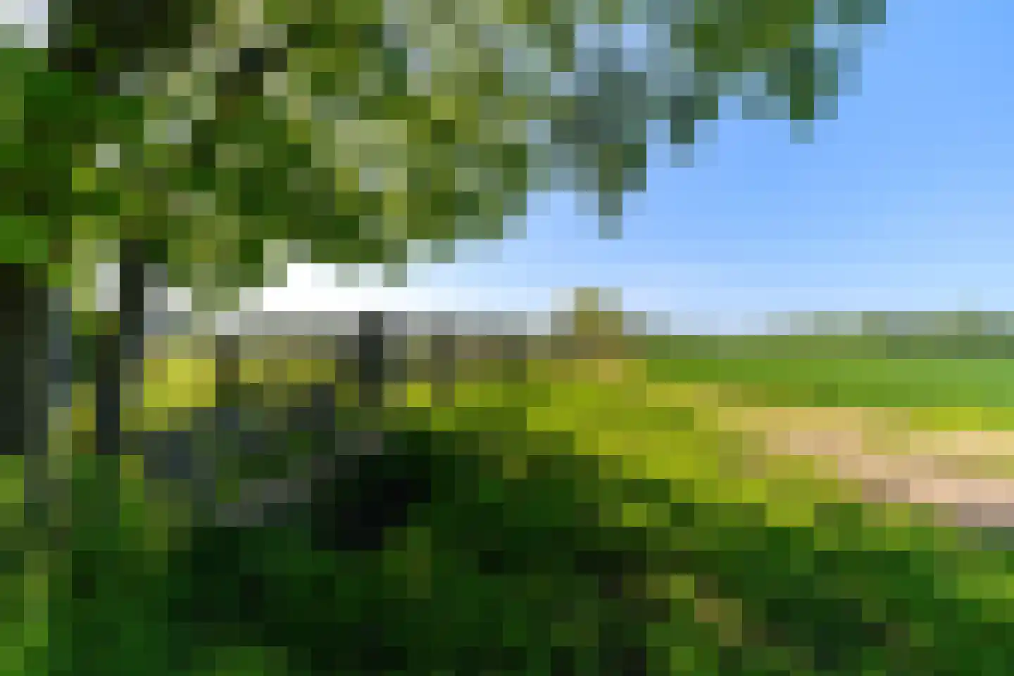 Scharlebeltweg 12 Nijverdal thumbnail 16