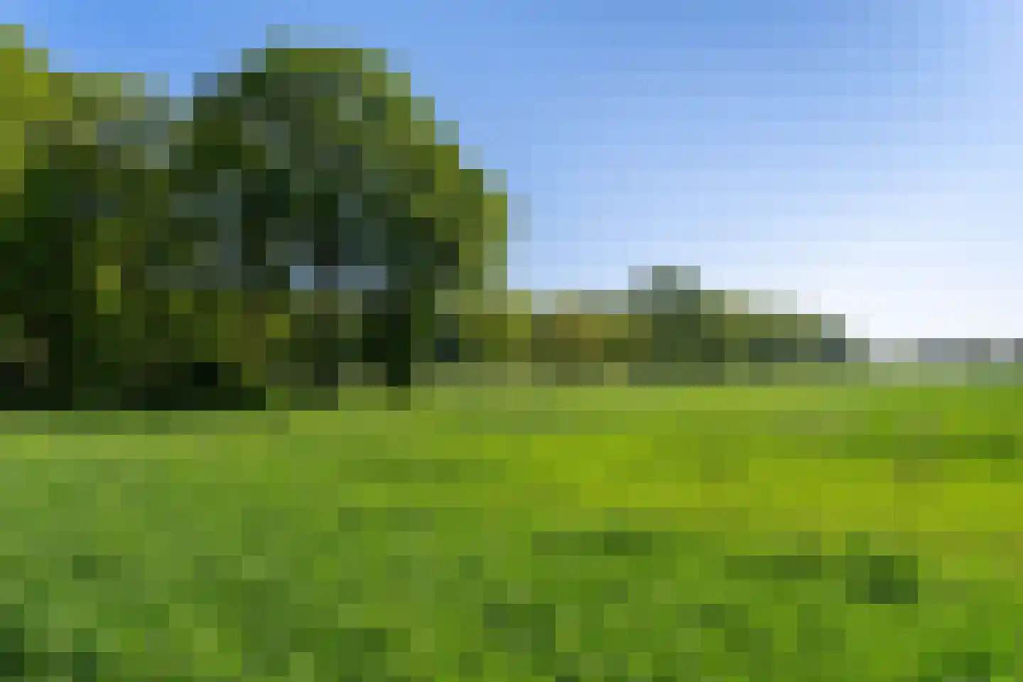 Scharlebeltweg 12 Nijverdal thumbnail 6