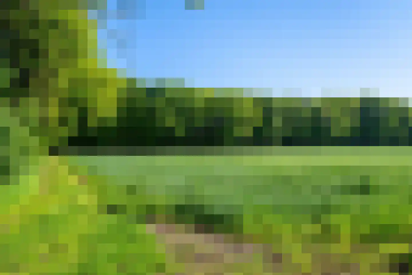 Scharlebeltweg 12 Nijverdal thumbnail 7