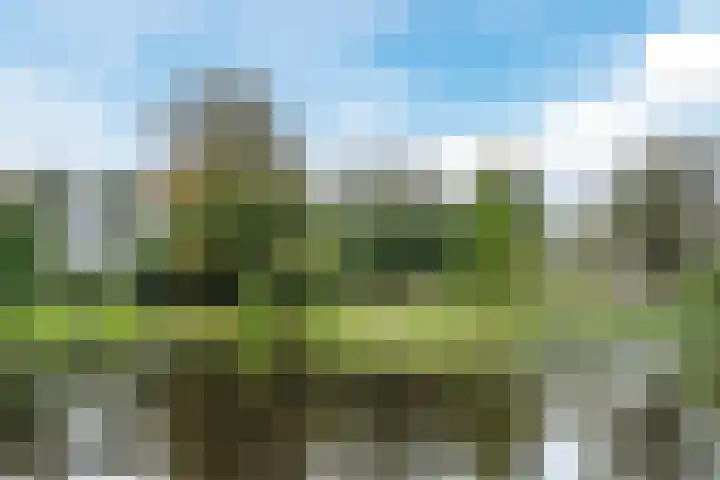 Scharlo 16 Alkmaar thumbnail 30