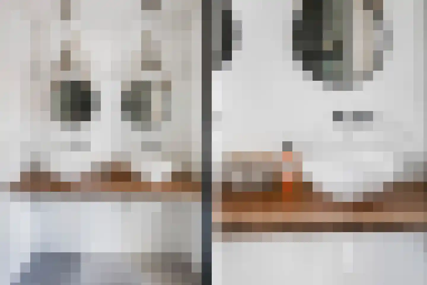 Scharlo 35 Alkmaar thumbnail 34