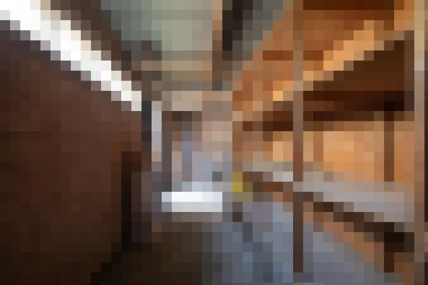 Scharlo 35 Alkmaar thumbnail 45