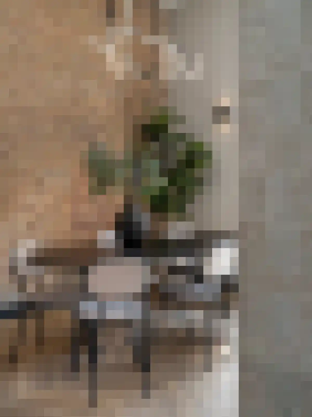 Scharloo 5 Brielle thumbnail 6