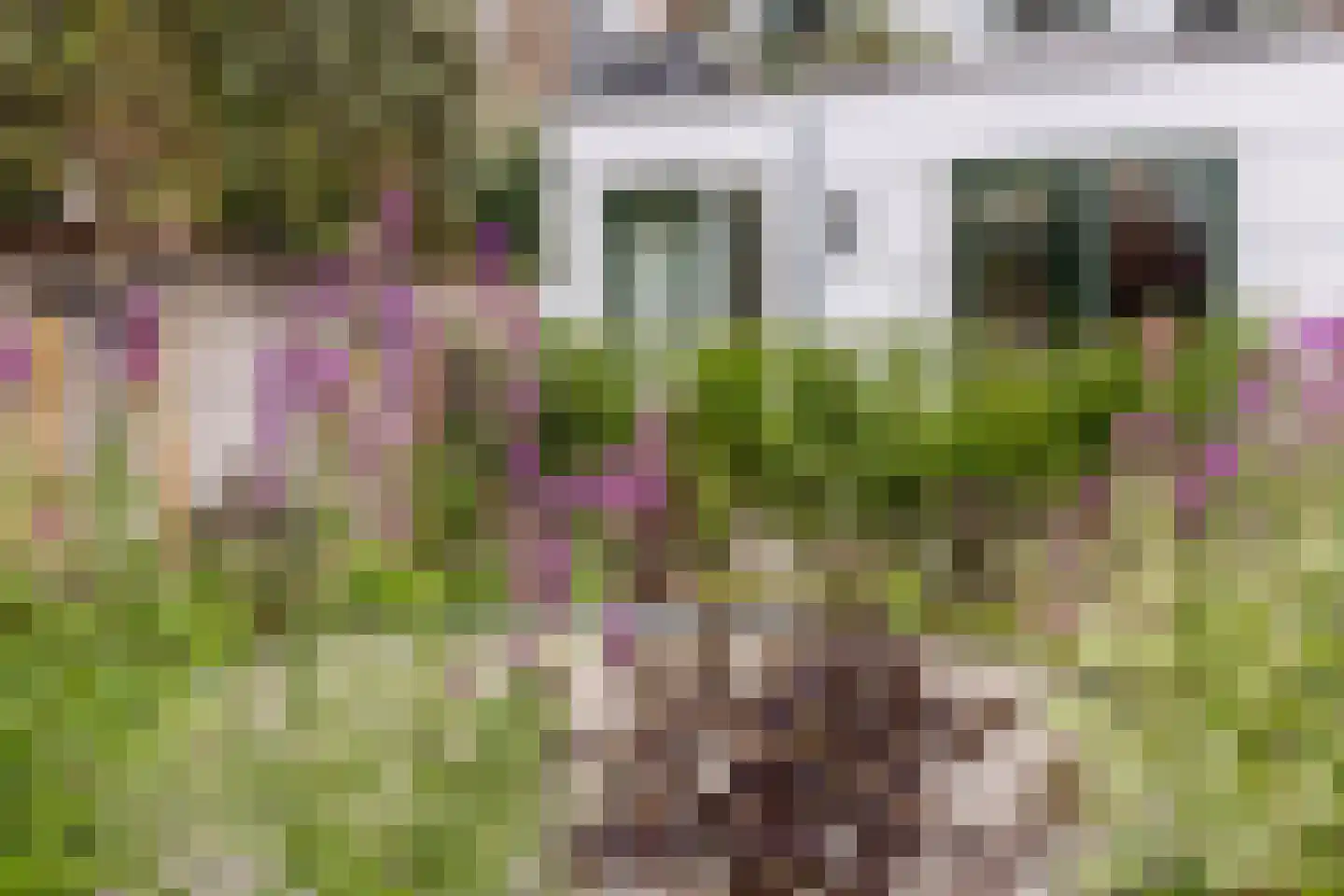 Scharloo 7 a Brielle thumbnail 21
