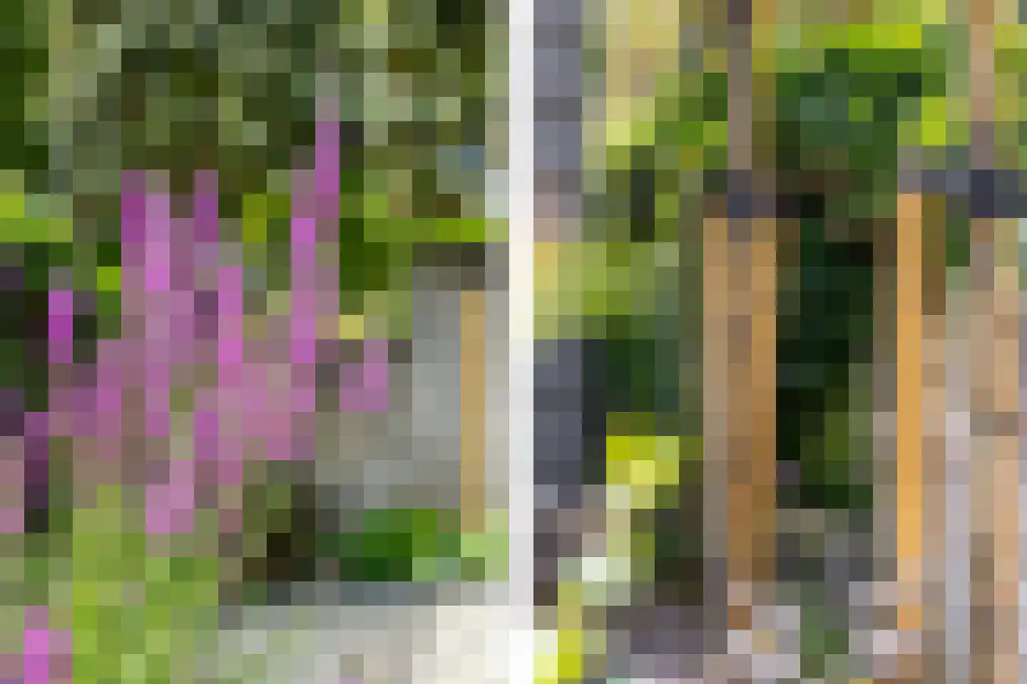 Scharloo 7 a Brielle thumbnail 23