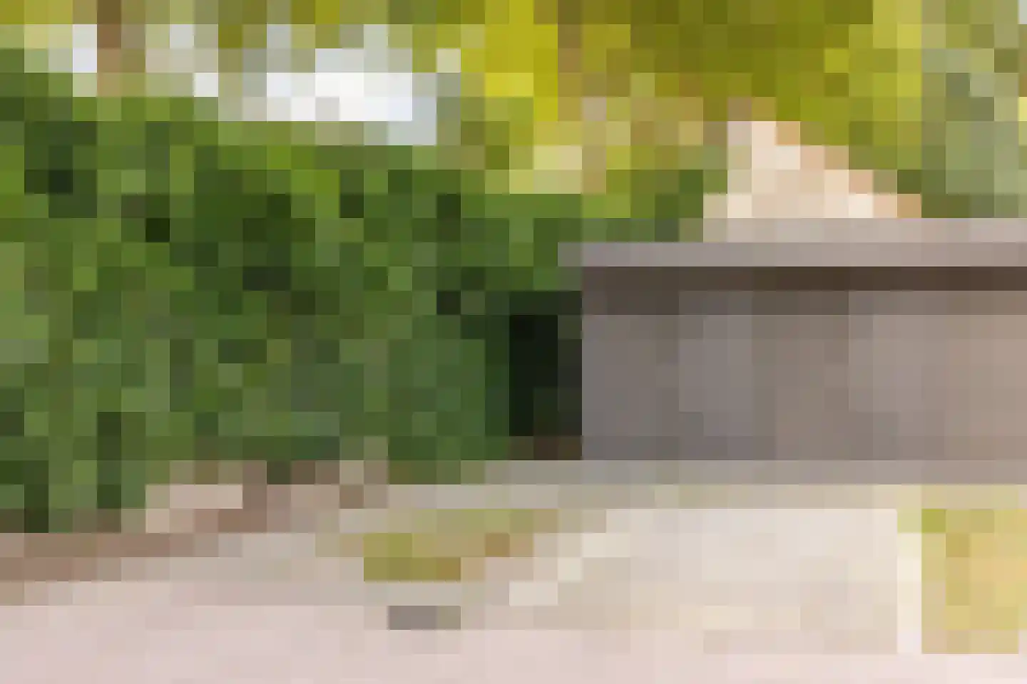 Scharloo 7 a Brielle thumbnail 26